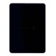 Модуль (матрица + тачскрин) для iPad Pro 11 2021 (A2301, A2459) черный