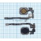 Кнопка HOME в сборе с механизмом и шлейфом для iPhone 5S, черная