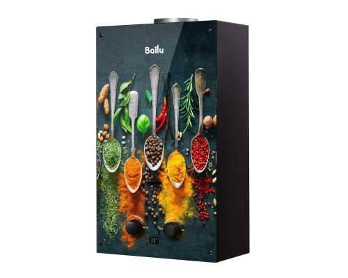 Колонка газовая Ballu GWH 10 Fiery Glass Curry
