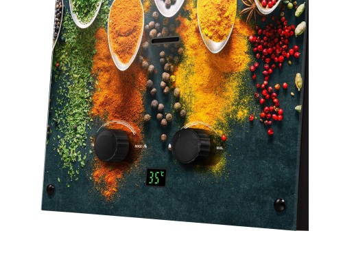 Колонка газовая Ballu GWH 10 Fiery Glass Curry