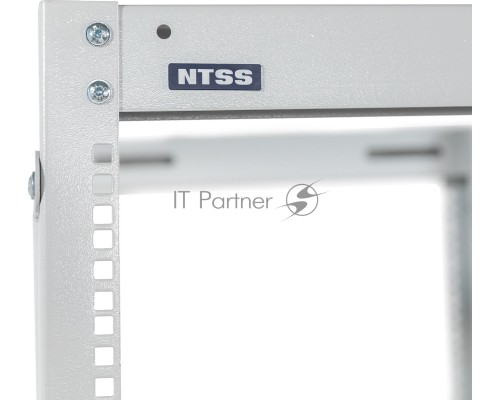 Стойка двухрамная NTSS NTSS-2POR42U/600-1000 42U 550ммx1000мм 600кг серый