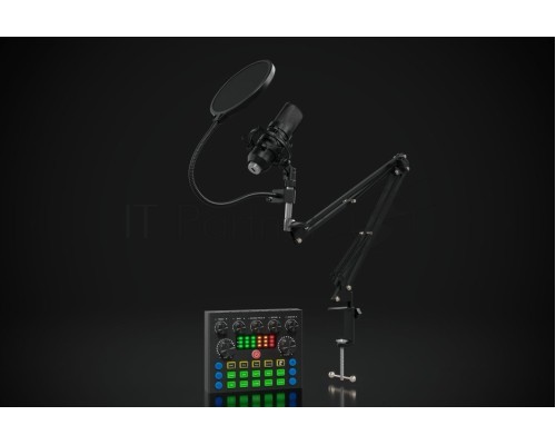 Микрофон проводной Оклик SM-600G 2.5м черный
