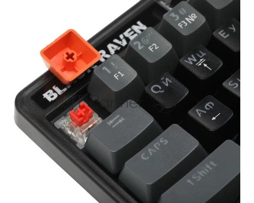 Клавиатура DEFENDER MECHANICAL BLK RAVEN GK-417 RU RGB 45414