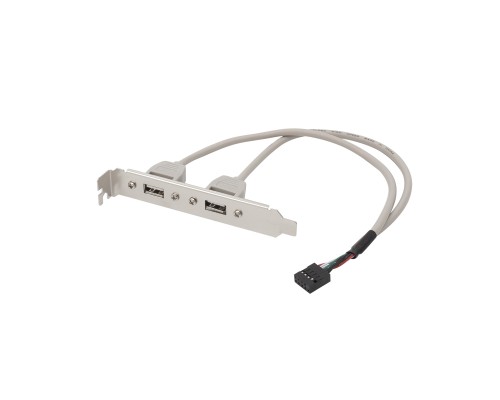 [Контроллер] Bion планка портов 2xUSB2.0, 30 см [BXP-MB-2USB]