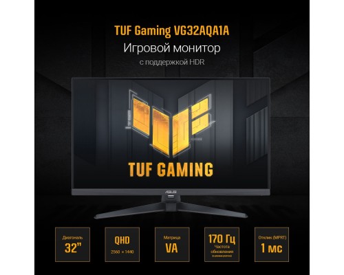 [Монитор] ASUS LCD 32