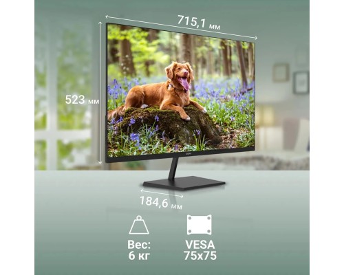 Монитор Digma Progress 32A501U черный 31.5