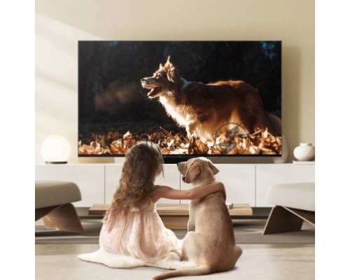 Телевизор TCL 65