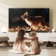 Телевизор TCL 65