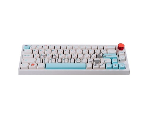 Клавиатура Epomaker TH66 Pro Keyboard Budgerigar White Sushi 