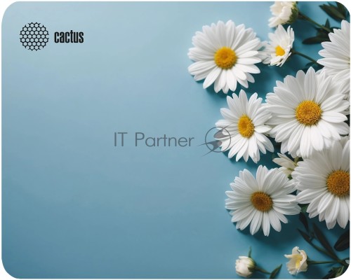 Коврик для мыши Cactus Daisies 250x200x3мм (CS-MP-D07S)