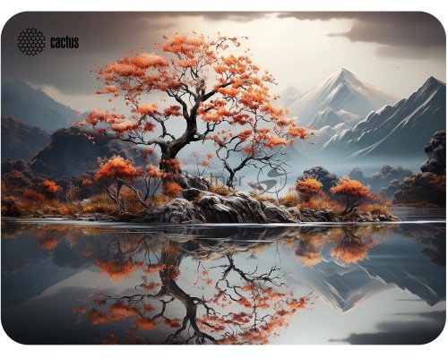Коврик для мыши Cactus Lake 400x300x3мм (CS-MP-PRO18XL)