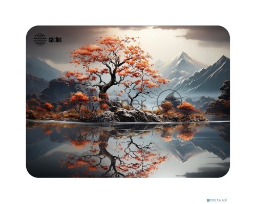 Коврик для мыши Cactus Lake 400x300x3мм (CS-MP-PRO18XL)