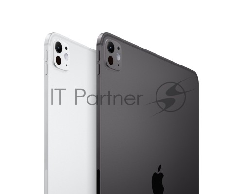 Планшет Apple iPad Pro 2024 A2837 11