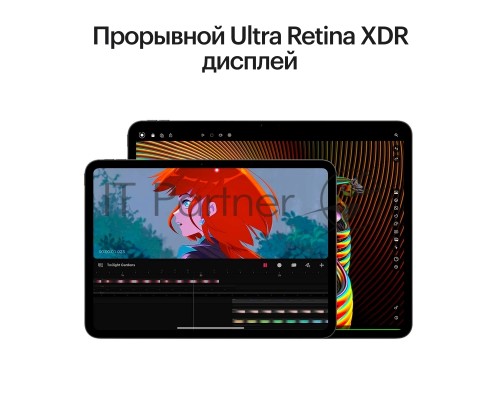 Планшет Apple iPad Pro 2024 A2837 11