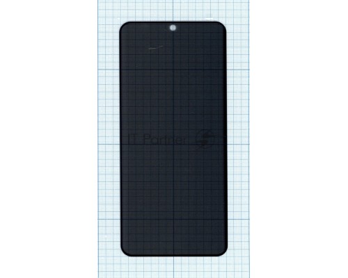 Защитное стекло Privacy 