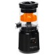 Соковыжималка Scarlett SC-JE50C10 черный