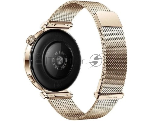 Смарт-часы Huawei GT 5 JNA-B19, золотые