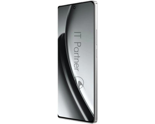 Смартфон Realme GT6 5G RMX3851, 12/256Gb, серебристый