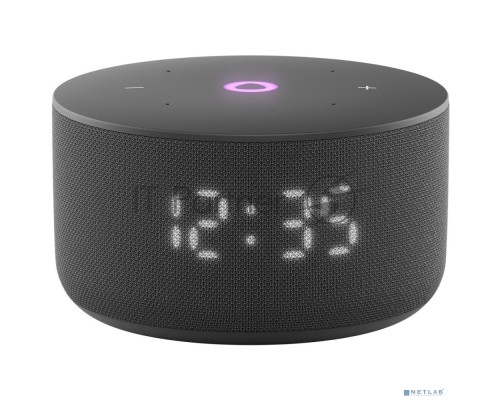 Умная колонка Yandex Станция Мини 3 Алиса черный 12W 1.0 BT/Wi-Fi (YNDX-00027BLK)