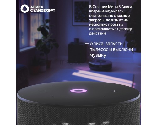Умная колонка Yandex Станция Мини 3 Алиса черный 12W 1.0 BT/Wi-Fi (YNDX-00027BLK)