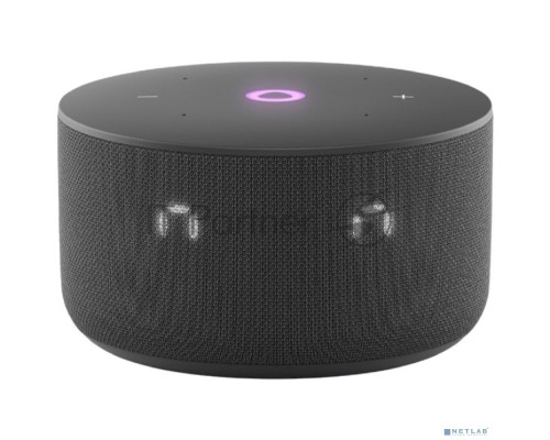 Умная колонка Yandex Станция Мини 3 Алиса черный 12W 1.0 BT/Wi-Fi (YNDX-00027BLK)