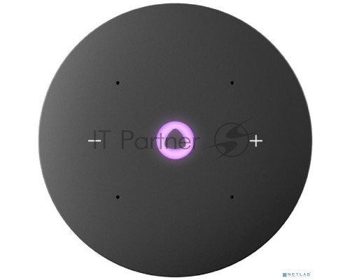 Умная колонка Yandex Станция Мини 3 Алиса черный 12W 1.0 BT/Wi-Fi (YNDX-00027BLK)