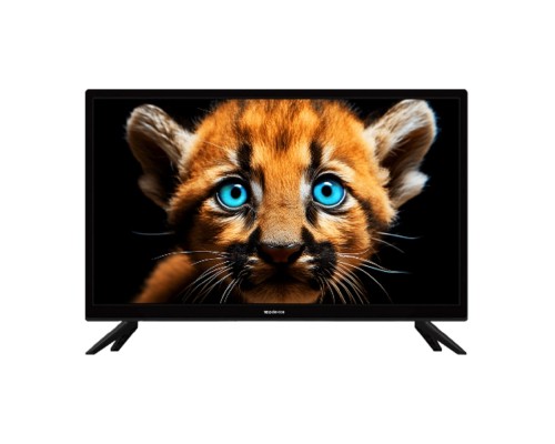 [LCD, LED телевизоры Topdevice] Topdevice 24' TDTV24BS01H_BK {HD/VA/Smart WildRed/1-8Gb/Black}