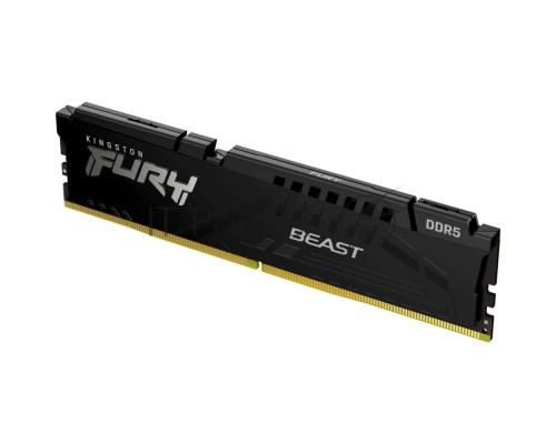 Модуль памяти DDR 5 DIMM 16Gb PC48000, 6000Mhz, Kingston FURY Beast Black EXPO CL30 (KF560C30BBE-16) (retail)