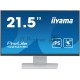 Монитор Iiyama ProLite T2252MSC-W2, белый, 21.5