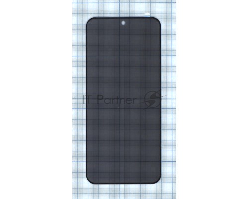Защитное стекло Privacy 