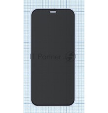 Защитное стекло Privacy 