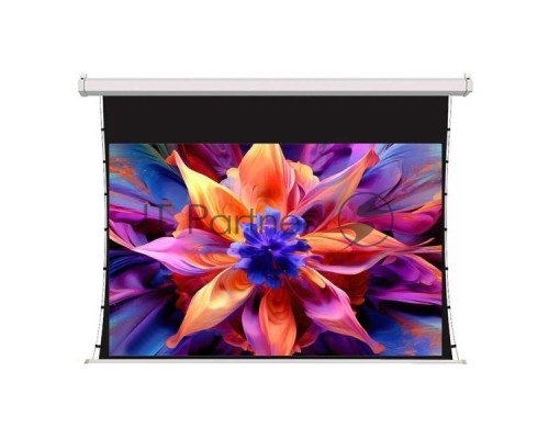 Экран для проектора S'OK SCPSMT-250x140FG-ED60, 113