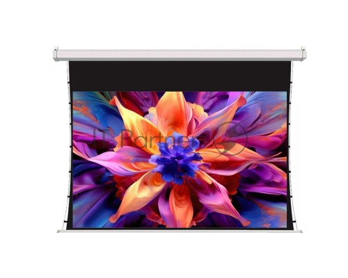 Экран для проектора S'OK SCPSMT-250x140FG-ED60, 113