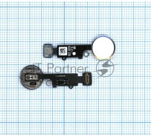 Кнопка HOME в сборе с механизмом и шлейфом для iPhone 7, 7 Plus, 8, 8 Plus, SE 2, SE 3 белая