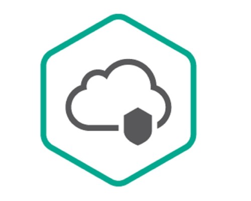 [Неисключительное право на использование ПО] KL4742RAKDR Kaspersky Endpoint Security Cloud, User Russian Edition. 10-14 Workstation / FileServer; 20-28 Mobile device 2 year Renewal License - Лицензия