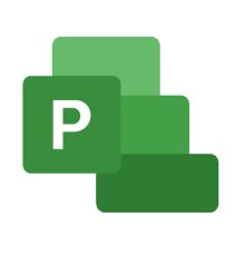 Project Professional 2024