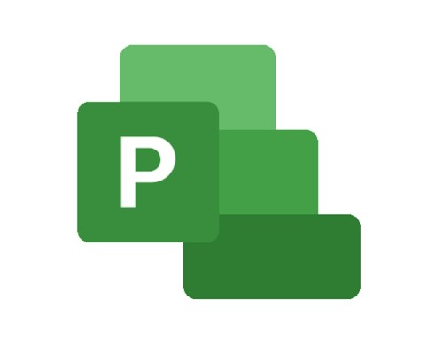 [Программное обеспечение] Project Professional 2024