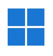 Windows 11 Home N to Pro N Upgrade for Microsoft 365 Business