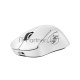 Мышь Logitech Mouse G PRO Х Superlight 2 DEX Wireless Gaming белый Retail