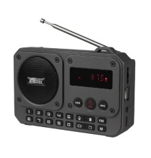 RITMIX RPR-010