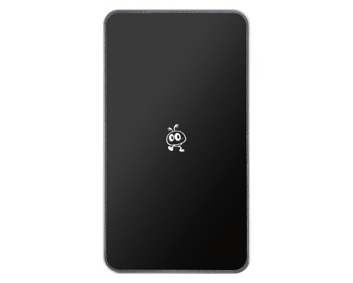 [носитель информации] Smartbuy Portable SSD 256GB P5 Pro USB 3.2 silver