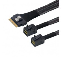 Lr-Link LRSF5443(8i)-SAS4.0 SAS SFF-8654 8i to 2xHDminiSAS SFF-8643 Cable,0.8m(SAS 4.0)