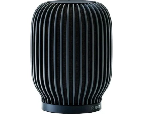 [станция/гаджет] Акустическая система серии SberBoom модели SBDV-00090, цвет черный, торговой марки SBER