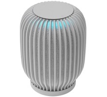 Акустическая система серии SberBoom модели SBDV-00090, цвет темно-серый, торговой марки SBER