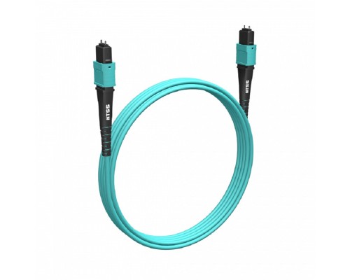 [Патч-корд, пигтейл] NTSS Волоконно-оптическая сборка trunk NTSS 12ов, MPO/UPC (female)-MPO/UPC (female), полярность B, 50/125 OM3, внутренний, 3м, LSZH NTSS-FM12-503-MPO/U(f)-MPO/U(f)-B-3