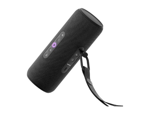 [станция/гаджет] Яндекс Станция Стрит с Алисой черный [YNDX-00030BLK]