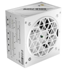 1STPLAYER NGDP GOLD 750W White / ATX 3.1, APFC, 80 PLUS Gold, LLC+DC-DC, full Japan solid-state caps, 120mm fan, full modular / HA-750BA4-WH
