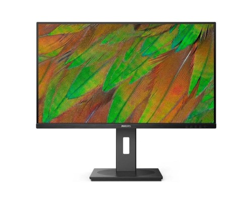 [Монитор] LCD PHILIPS 31.5