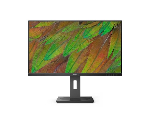 [Монитор] LCD PHILIPS 31.5