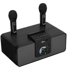 RITMIX SP-660B black { Мощность: 15 вт * 2  Частоты: 100 Гц - 20 000 Гц Чувствительно 84+-2 ДБ}